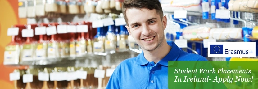 Student Work placement in Ireland